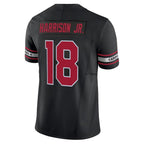 Choea A.Cardinals #18 Marvin Harrison Jr. Player Black Vapor F.U.S.E. Limited Stitched Jerseys