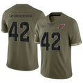 Choea A.Cardinals #42 Dadrion Taylor-Demerson Player Olive Salute To Service Stitched Jerseys