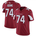 Choea A.Cardinals #74 Isaiah Adams Player Red Game Stitched Jerseys