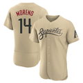 Choea A.Diamondbacks #14 Gabriel Moreno Player Gold City Connect Stitched Jerseys