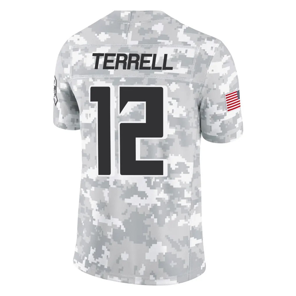 Choea A.Falcons #12 Avieon Terrell Player Arctic Camo Salute to Service Limited Stitched Jerseys