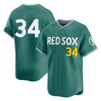Choea B.Red Sox #34 David Ortiz Player Green City Connect Limited Home Game Stitched Jerseys