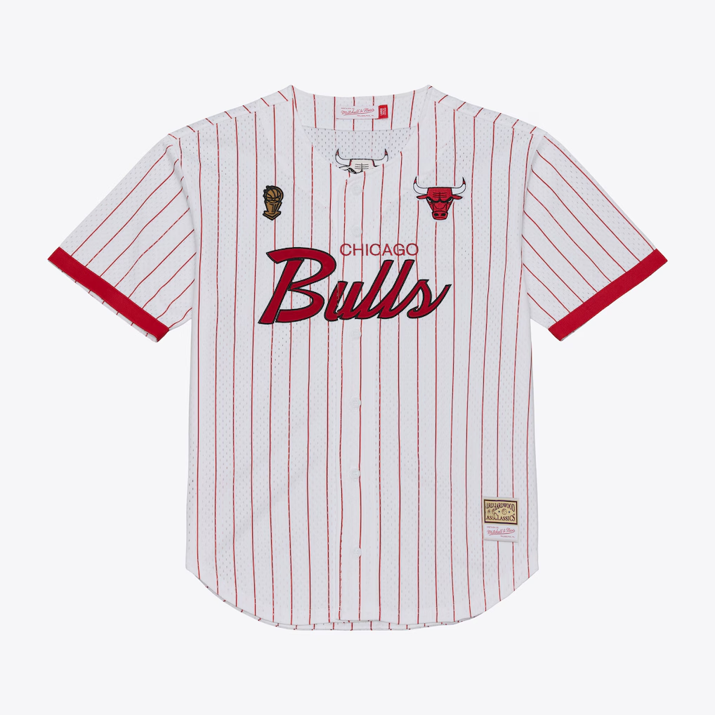 Choea C.Bulls Mitchell & Ness White Head Coach Pinstripe Mesh Full-Button Baseball Jerseys