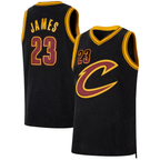Choea C.Cavaliers #23 LeBron James Black Forever King Authentic Jerseys