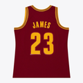 Choea C.Cavaliers #23 LeBron James Mitchell & Ness Wine 2015-16 Swingman Jerseys