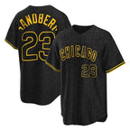 Choea C.Cubs #23 Ryne Sandberg Player Black Snake Skin City Game Stitched Jerseys