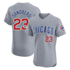Choea C.Cubs #23 Ryne Sandberg Player Gray Road Limited Elite Home Stitched Jerseys