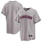 Choea C.Guardians Gray Game Home Blank Player Stitched Jerseys