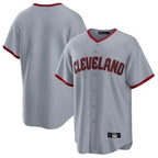 Choea C.Guardians Gray Home Game Blank Player Stitched Jerseys