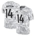 Choea D.Broncos #14 Courtland Sutton Player Arctic Camo Salute To Service Limited Stitched Jerseys