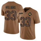 Choea GB.Packers #33 Evan Williams Player Brown Salute To Service Limited Stitched Jerseys