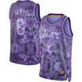 Choea LA.Lakers #8 LeBron James Purple Select Series Swingman Stitched Jerseys