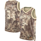 Choea M.Bucks #34 Giannis Antetokounmpo Brown Select Series Swingman Jerseys