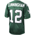 Choea P.Eagles 1992 #12 Randall Cunningham Mitchell & Ness Green Authentic Throwback Retired Player Stitched Puhic Jersey