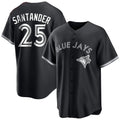 Choea T.Blue Jays #25 Anthony Santander Player Black City Connect Limited Stitched Jerseys