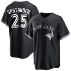 Choea T.Blue Jays #25 Anthony Santander Player Black City Connect Limited Stitched Jerseys