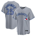 Choea T.Blue Jays #25 Anthony Santander Player Gray Home Limited Stitched Jerseys