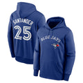 Choea T.Blue Jays #25 Anthony Santander Player Royal Performance Pullover Hoodie